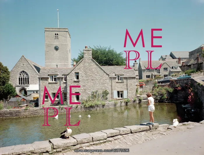 : The Mill Pond, Swanage : The Mill Pond, Swanage