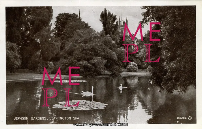 : The Pond & Swans, Jephson Gardens, Warwickshire : The Pond & Swans, Jephson Gardens, Warwickshire