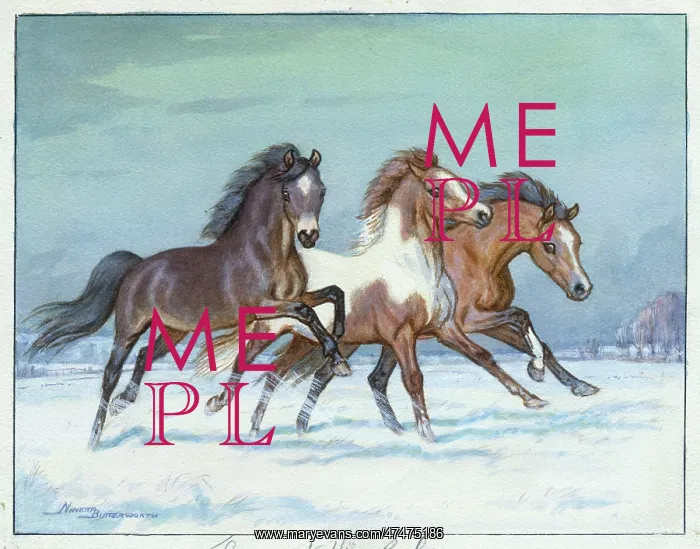  : Three pones in the snow