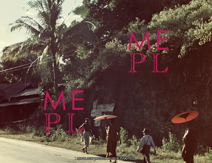 : Pongyis - Rangoon : Pongyis - Rangoon