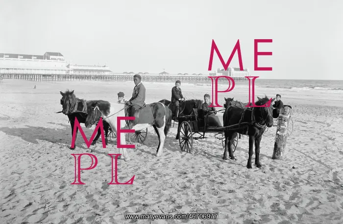 : Ponies - Animals - Beach Atlantic City : Ponies - Animals - Beach Atlantic City