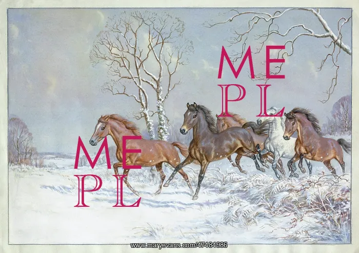 : Ponies of the Forest