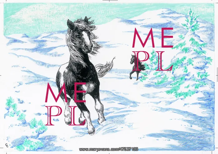  : Ponies galloping in the snow
