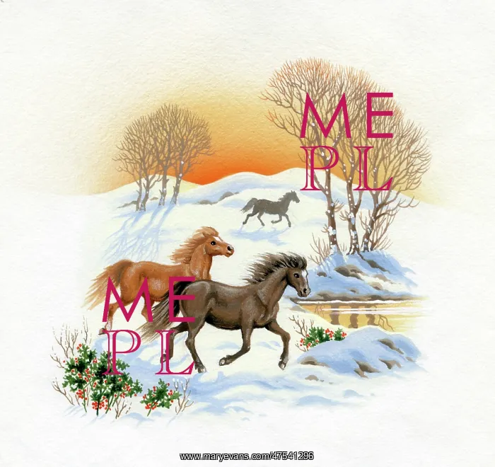 : Ponies galloping in the snow : Ponies galloping in the snow