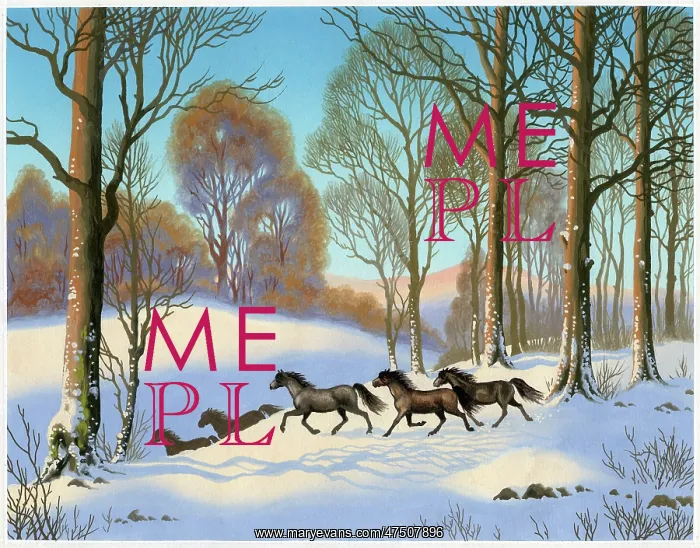 : Ponies running in the Snow : Ponies running in the Snow