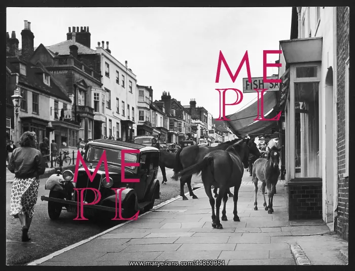 : PONIES SHOPPING : PONIES SHOPPING