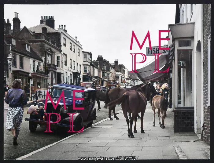 : PONIES SHOPPING : PONIES SHOPPING