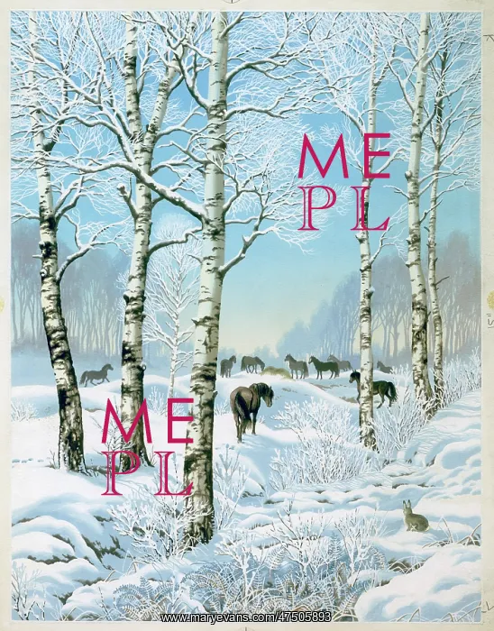 : Ponies in the snow with birch trees : Ponies in the snow with birch trees