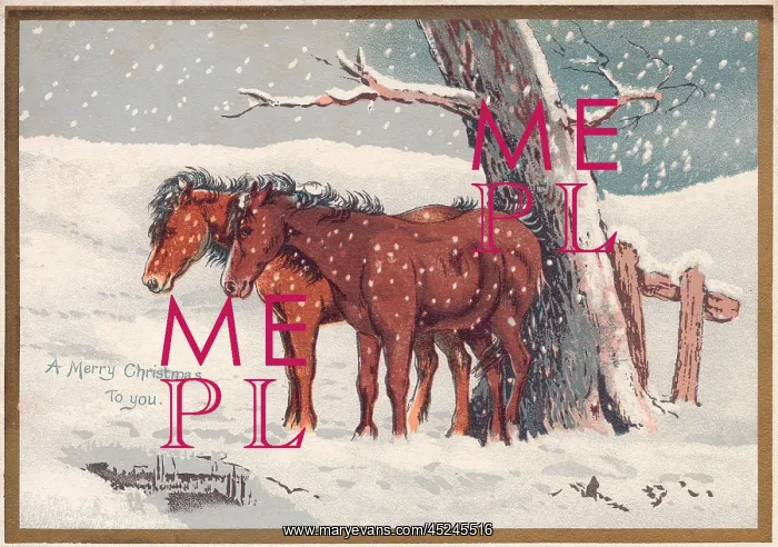  : Two ponies in the snow on a Christmas card