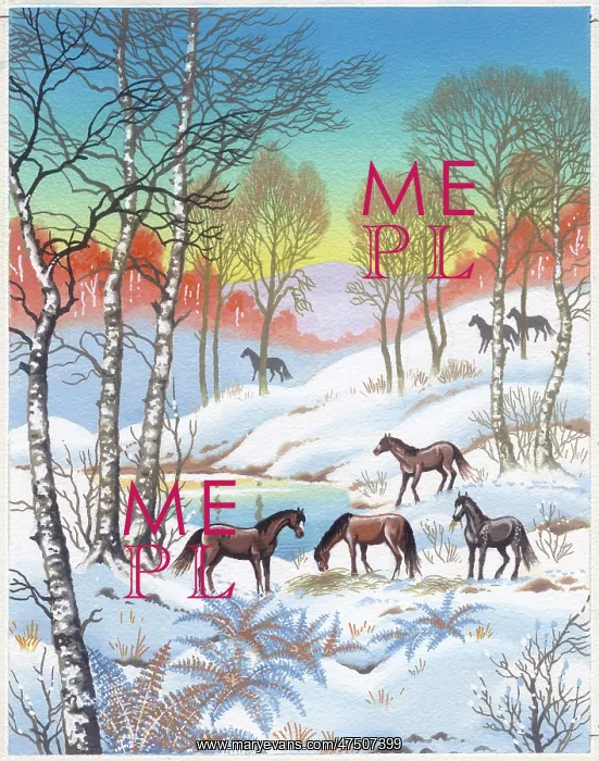  : Ponies in the Snow by a pond