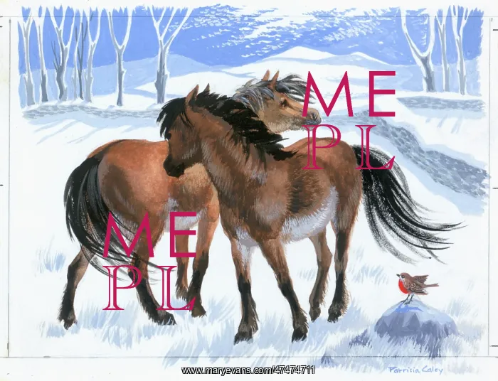  : Two ponies in the snow with robin