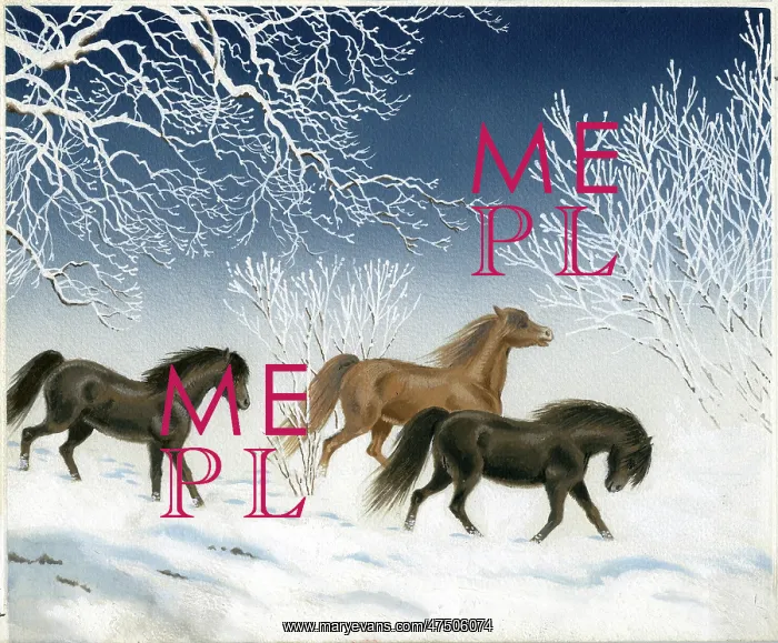 : Ponies trotting in the snow : Ponies trotting in the snow