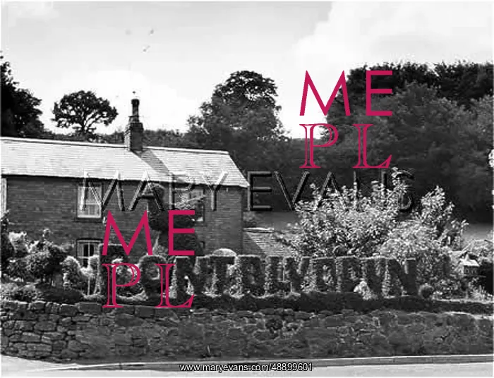 : PONT BLYDDYN TOPIARY : PONT BLYDDYN TOPIARY