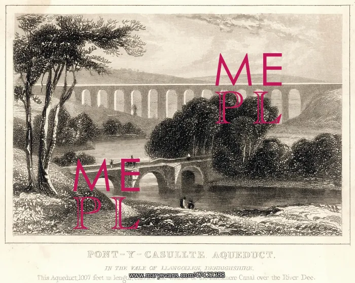 : The Pontcysyllte Aqueduct : The Pontcysyllte Aqueduct