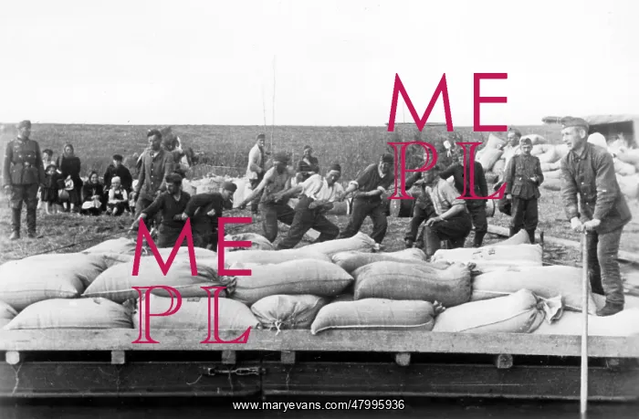 : A pontoon ferry brings sacks of oats as supply for : A pontoon ferry brings sacks of oats as supply for