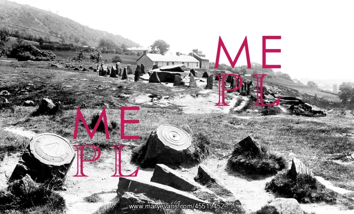  : Pontypridd, the Druid Stones 1899