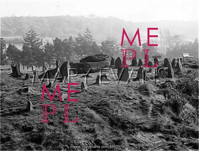 : PONTYPRIDD STONE CIRCLE : PONTYPRIDD STONE CIRCLE