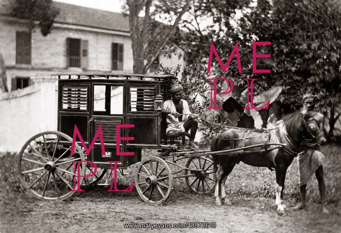  : Pony carriage, India, circa 1880s