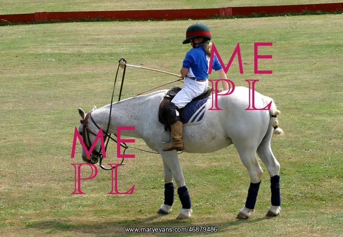  : Pony Club