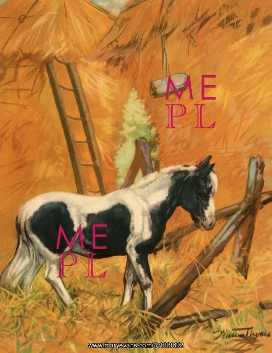  : Pony Eating Hay