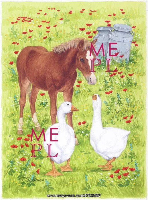 : Pony and two Geese in a meadow : Pony and two Geese in a meadow