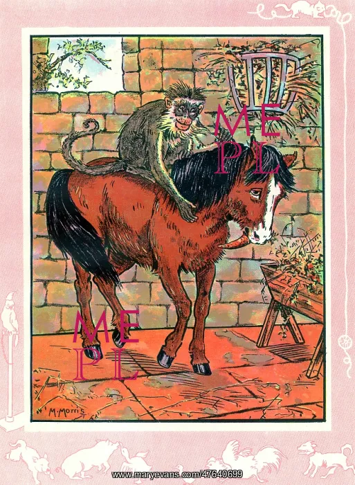 : A pony with a monkey on its back : A pony with a monkey on its back
