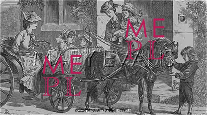 : PONY PHAETON 1883 : PONY PHAETON 1883