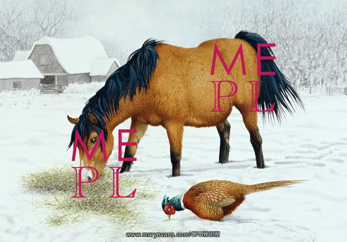 : Pony and Pheasant in the Snow