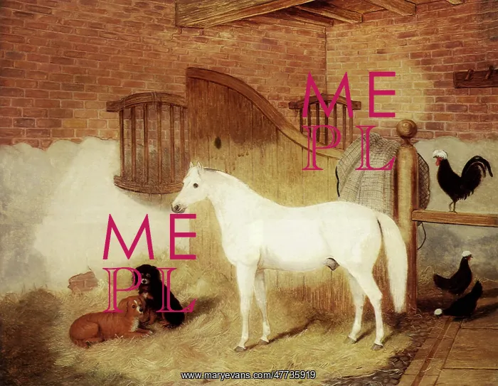  : Pony, Puppies, Poultry