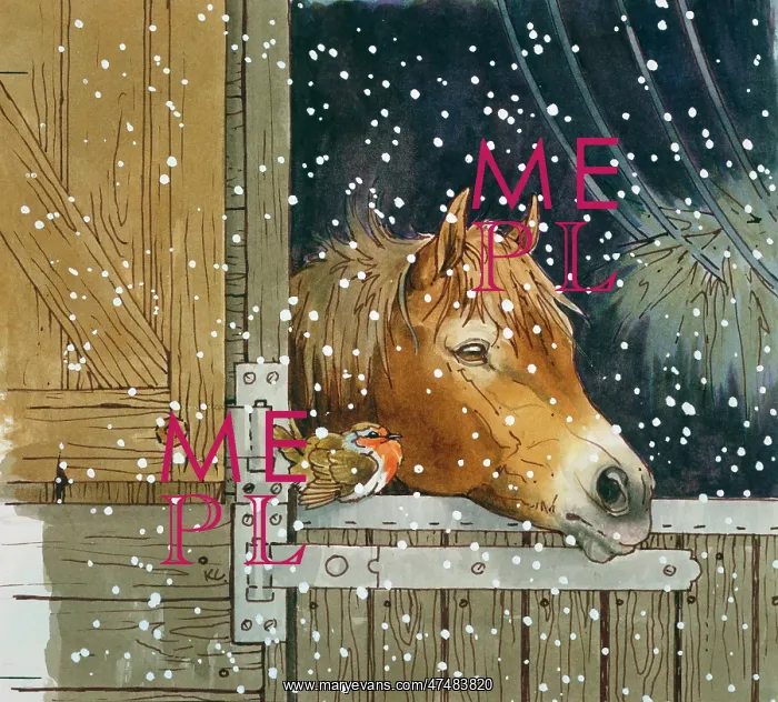  : Pony and Robin in Stable Doorway