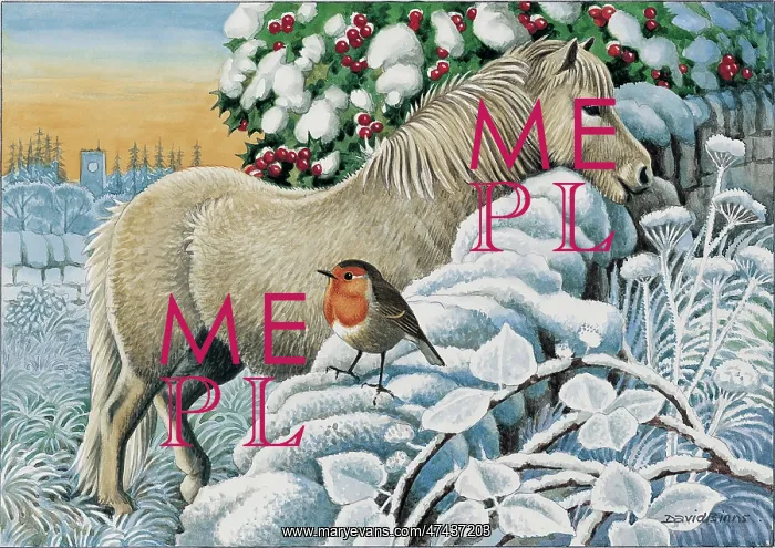 : Pony in Snow with Robin