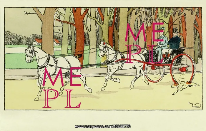 : Pony & trap : Pony & trap