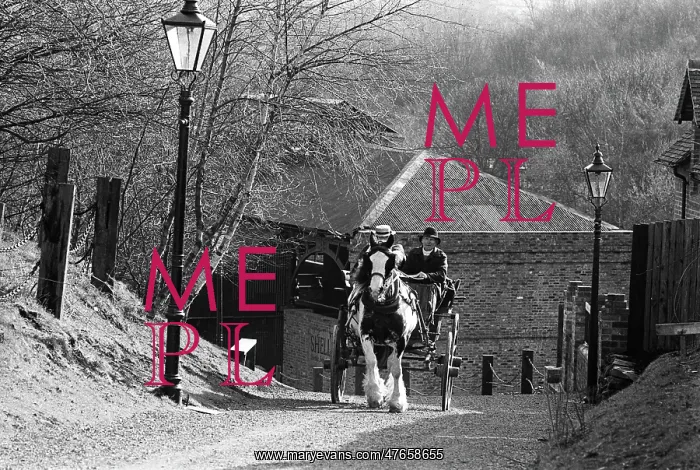 : Pony and trap, Blists Hill, Shropshire : Pony and trap, Blists Hill, Shropshire