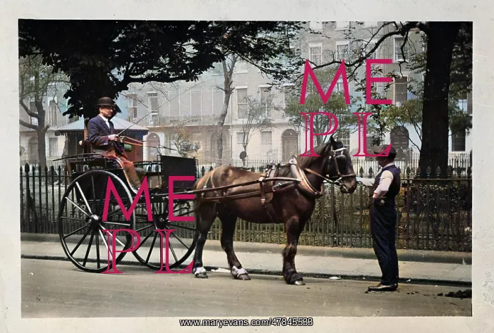  : Pony and trap in Dorset Square, NW London