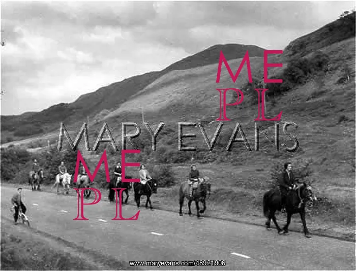 : PONY TREKKERS : PONY TREKKERS
