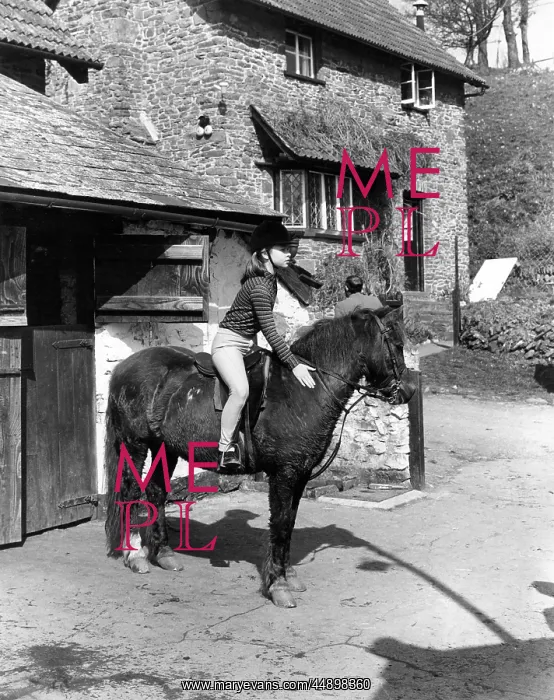  : Pony trekking, Exmoor, Devon