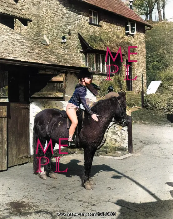  : Pony trekking, Exmoor, Devon