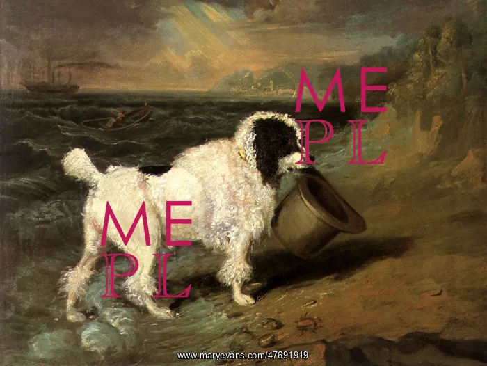  : Poodle with Lost Hat
