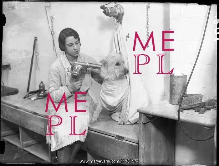  : Poodle Parlour 1930s