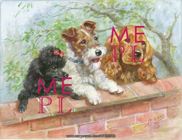 : A poodle, a wire-haired terrier and a spaniel : A poodle, a wire-haired terrier and a spaniel