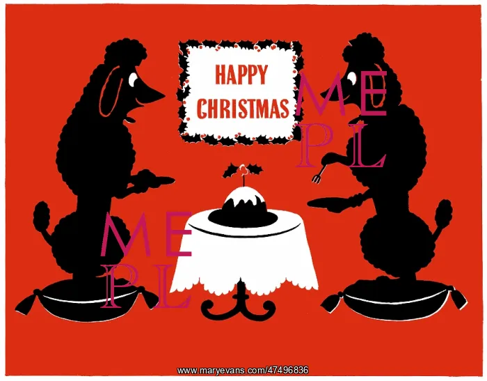 : Two poodles eating Christmas pudding : Two poodles eating Christmas pudding