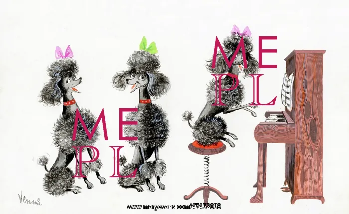  : Three poodles singing and playing piano