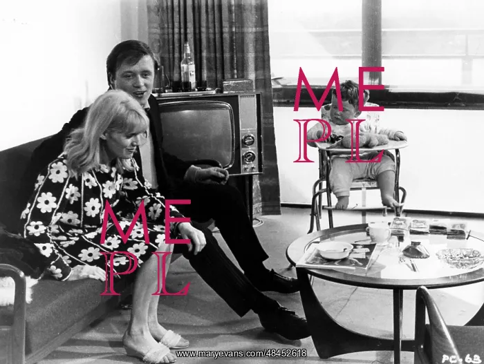 : POOR COW CAROL WHITE, JOHN BINDON FAMILY LIFE : POOR COW CAROL WHITE, JOHN BINDON FAMILY LIFE