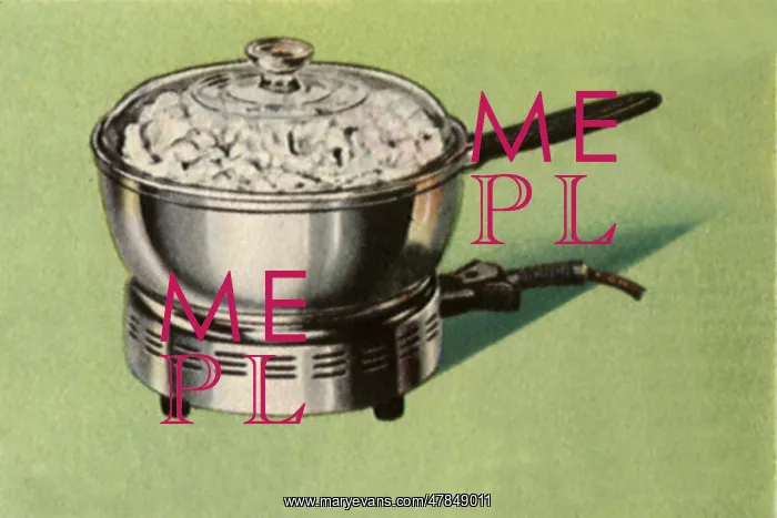 : Popcorn Popper : Popcorn Popper