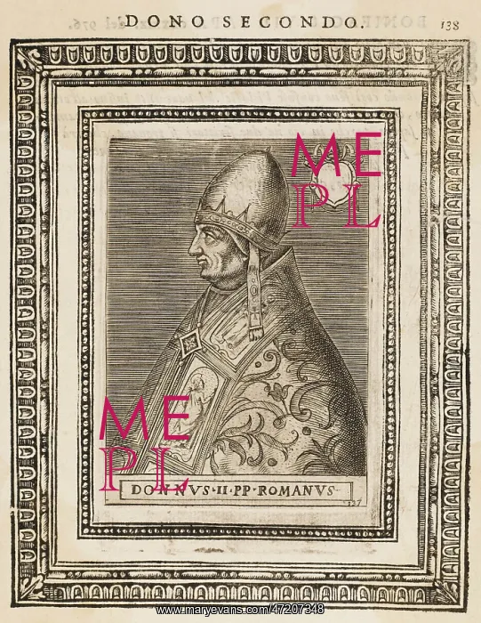 : POPE DONUS II : POPE DONUS II