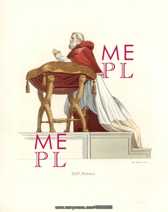 : Pope Julius II, after Raphael : Pope Julius II, after Raphael