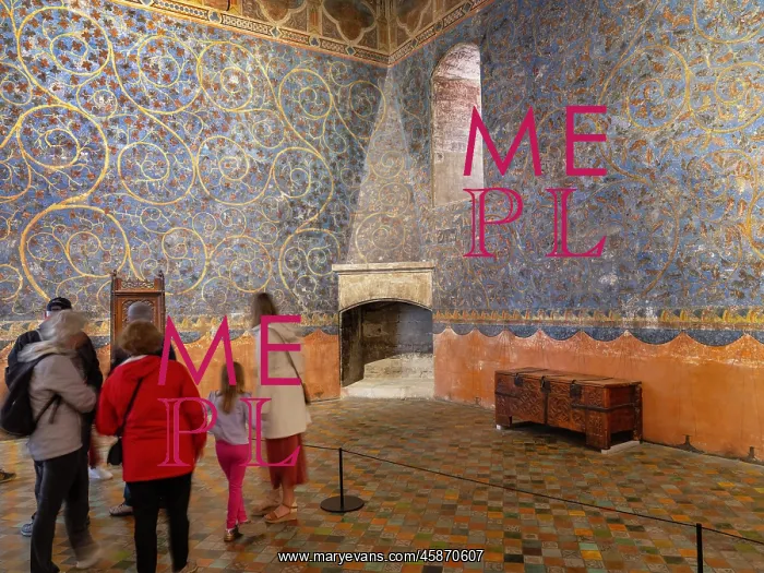 : Pope's bedchamber, Palais des Papes, Avignon, Provence : Pope's bedchamber, Palais des Papes, Avignon, Provence