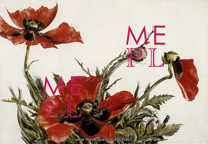  : Poppies