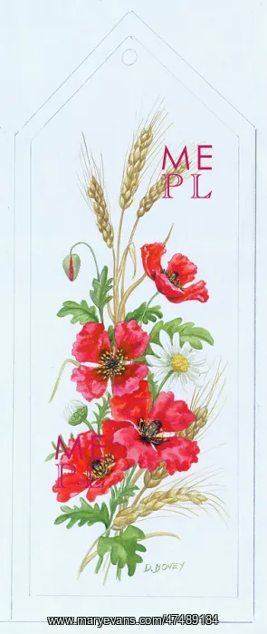  : Poppies, Barley and Daisy