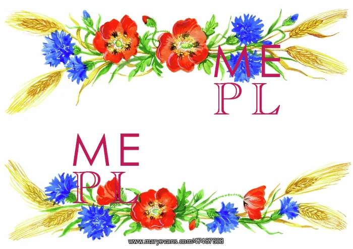: Poppies, cornflowers and corn : Poppies, cornflowers and corn